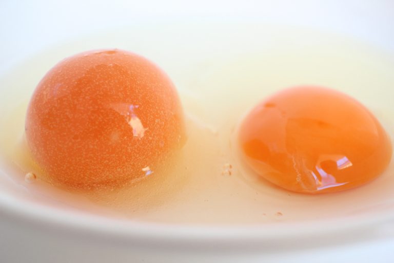 卵は冷凍すると・・・、もちもち！？ クセになる食感、楽しんでください FrozenFoodPress