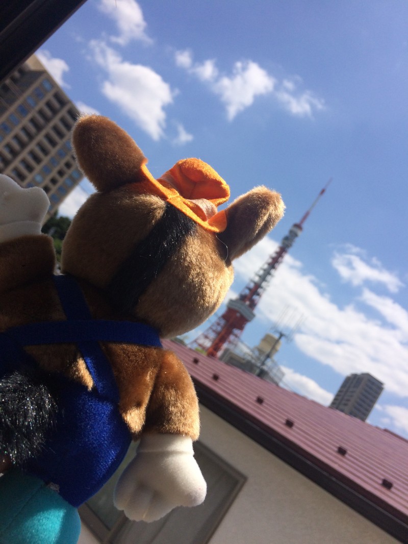 どさんこ君来たる。「なまらでっかい東京タワー」