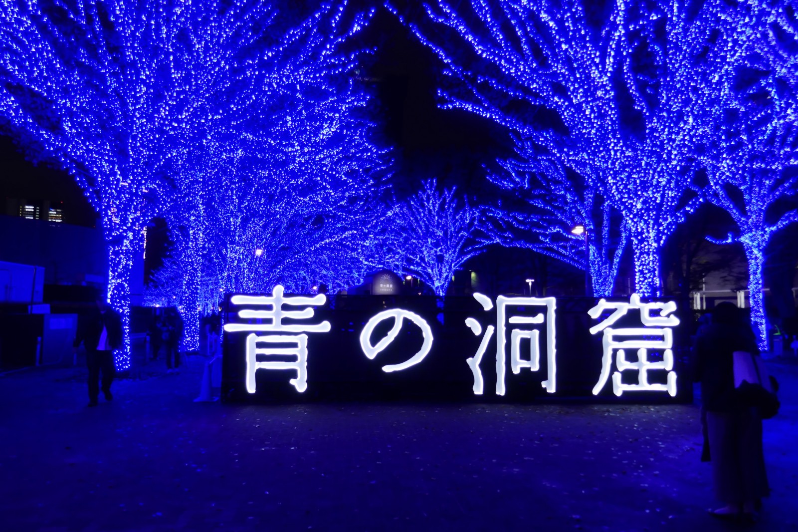 いよいよ11月29日17時～『青の洞窟　SHIBUYA』　幸せの鐘を鳴らそう♪