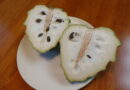 アイス？ まったり、すっきりと甘い高級南国フルーツ～台湾から「冷凍　シュガーアップル（釈迦頭）」