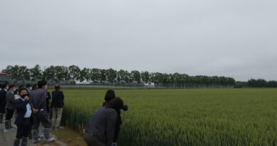 冷凍めん協北海道研修日程終了、西山製麺訪問、芽室で北海道小麦の現状を学ぶ