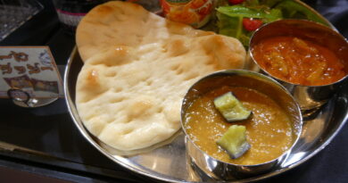 ニッポンハムグループ2026年説明会：”proteinnovation（プロテイノベーション）”提案～注目集めた冷凍食品ワンプレート、串カツ