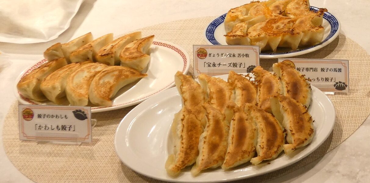 JAPAN餃子大賞『通販餃子』部門 最高金賞に「馬渡のもっちり餃子」（宮崎）～イートアンドが冷食EC新サイトでお取り寄せ餃子応援