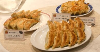 JAPAN餃子大賞『通販餃子』部門 最高金賞に「馬渡のもっちり餃子」（宮崎）～イートアンドが冷食EC新サイトでお取り寄せ餃子応援